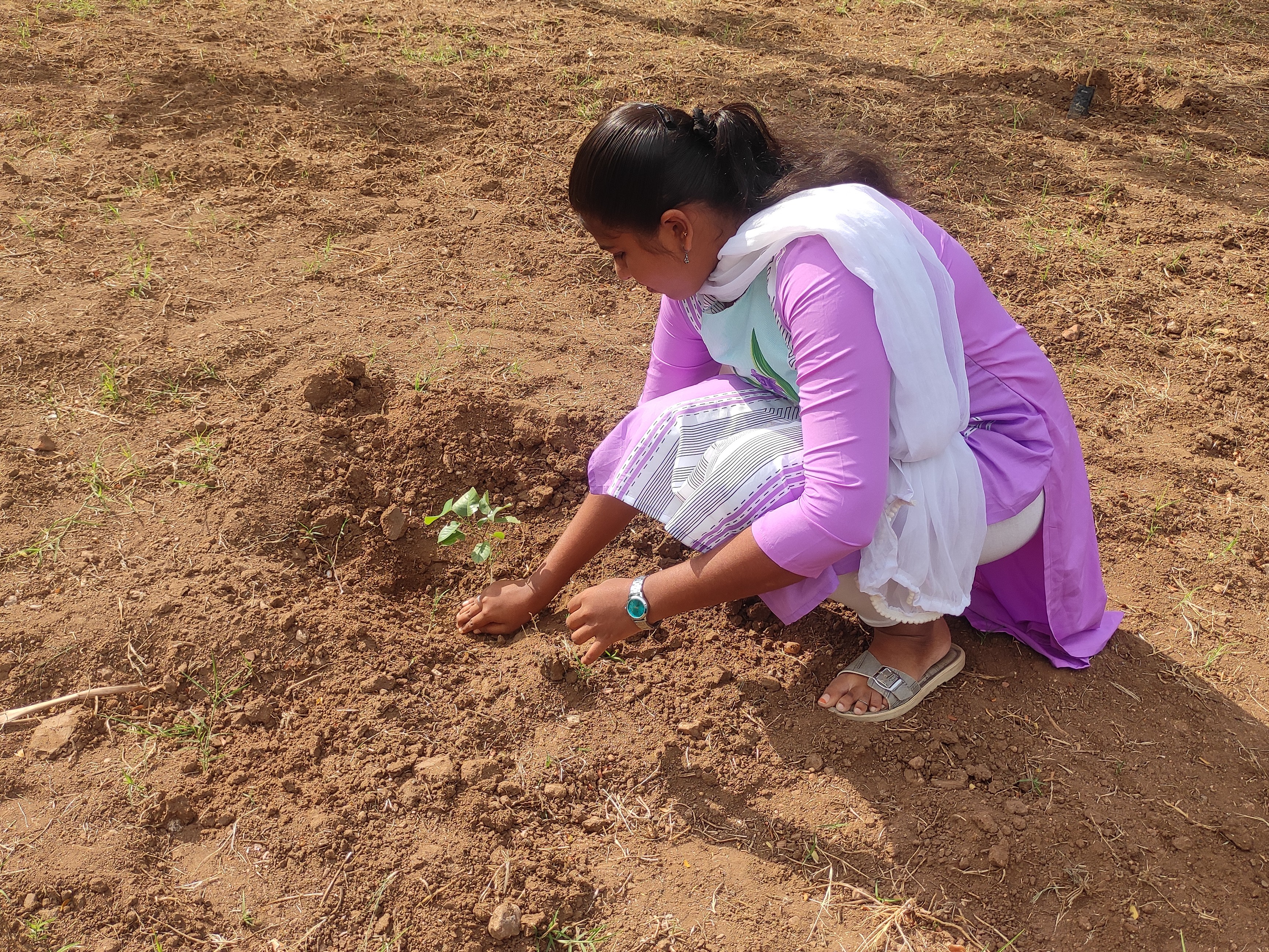 Community program