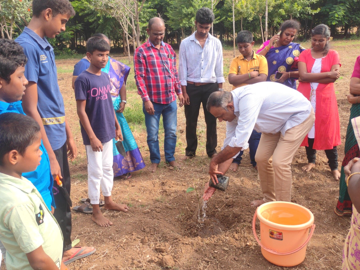 Tree Planting